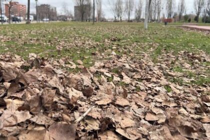 PSOE apunta a un aumento de quejas sobre parques de Valladolid y el Ayuntamiento dice que son "peticiones de servicio"