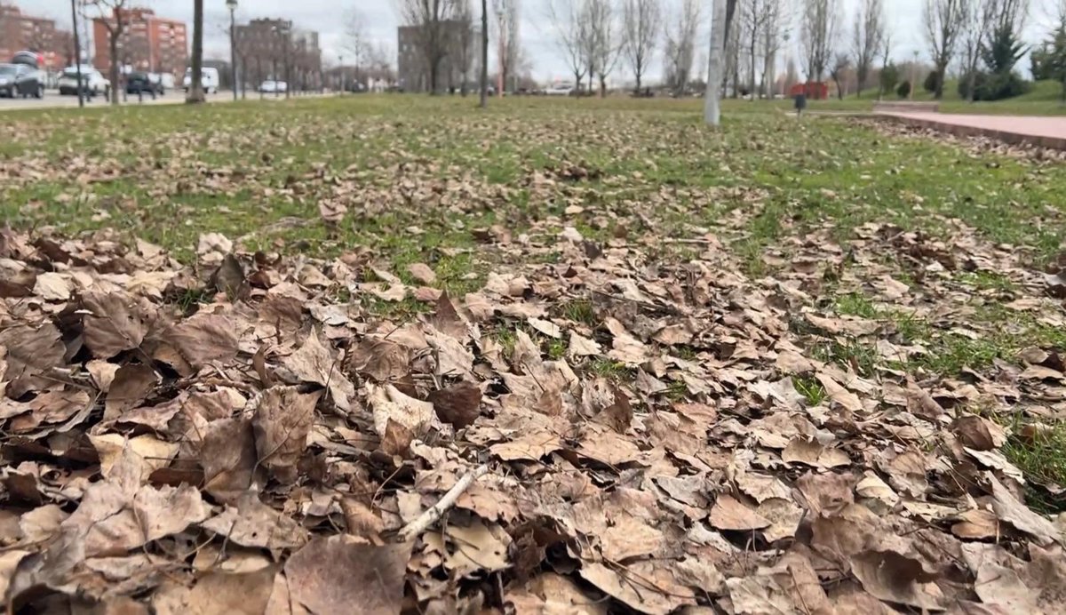 PSOE apunta a un aumento de quejas sobre parques de Valladolid y el Ayuntamiento dice que son "peticiones de servicio"