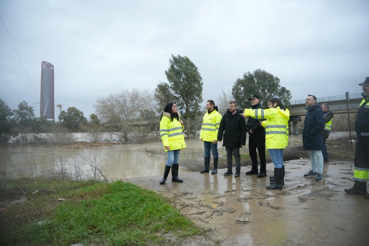 Crecimiento "sostenido y progresivo" del Guadalquivir en Sevilla a la espera de que pronto alcance su "punta de caudal"
