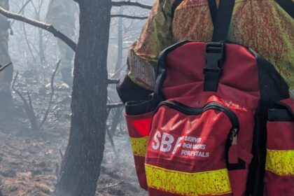 Un incendio forestal obliga a suspender la circulación en tren en Carcaixent