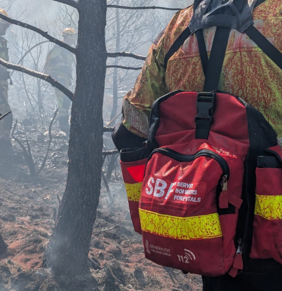 Un incendio forestal obliga a suspender la circulación en tren en Carcaixent