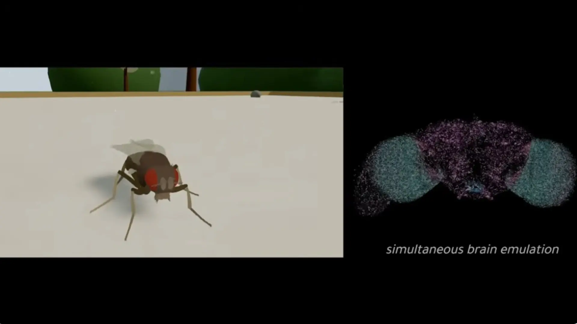 Científicos suben el cerebro de una mosca a Matrix, para que controle un cuerpo virtual