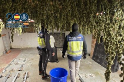 Diez detenidos en Jerez tras desarticular un grupo especializado en la producción de grandes cantidades de marihuana