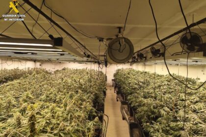 Tres detenidos, un investigado y desmantelada una plantación indoor con 2.850 plantas de marihuana en La Moraña