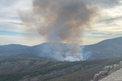 Medios aéreos y terrestres trabajan en la extinción de un incendio forestal declarado este domingo en Acebo