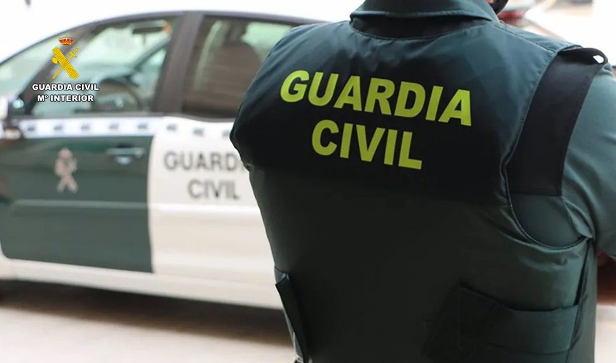 Detenidas cuatro personas que fueron sorprendidas forzando máquinas expendedoras en el parque del Drago de Icod