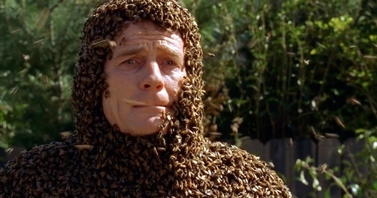 El día en que Bryan Cranston quedó cubierto por 60 mil abejas para “Malcolm” y sufrió una picadura en los genitales