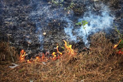 Determinan que quemas agrícolas fueron la causa de incendios forestales en Boiro y Boborás, con tres implicados