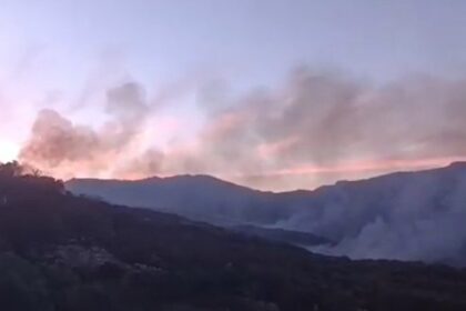 Estabilizado el incendio en Medina-Sidonia (Cádiz) que movilizó a siete grupos de bomberos forestales