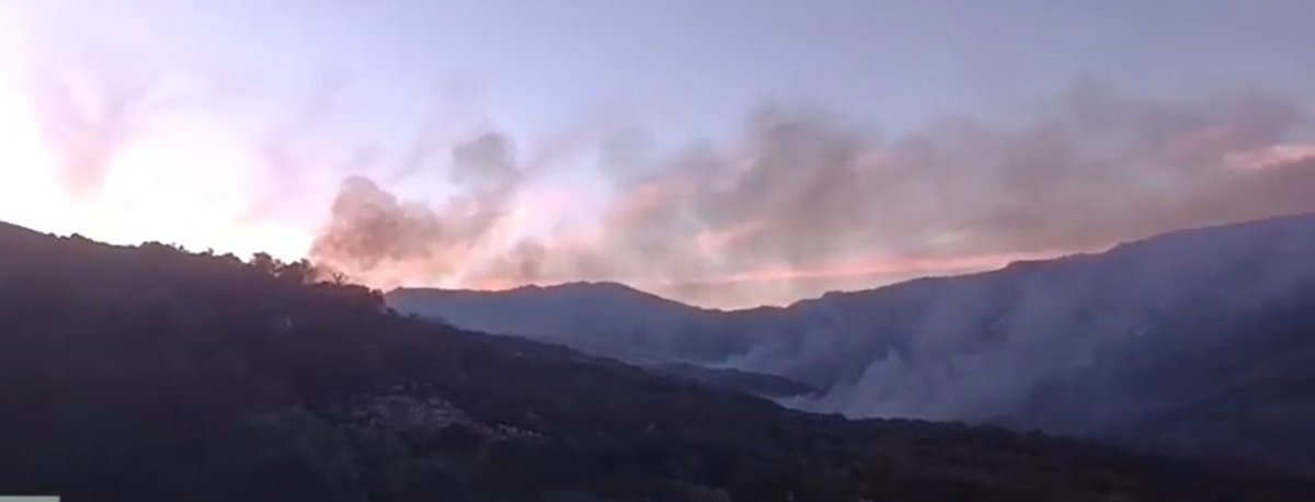 Estabilizado el incendio en Medina-Sidonia (Cádiz) que movilizó a siete grupos de bomberos forestales