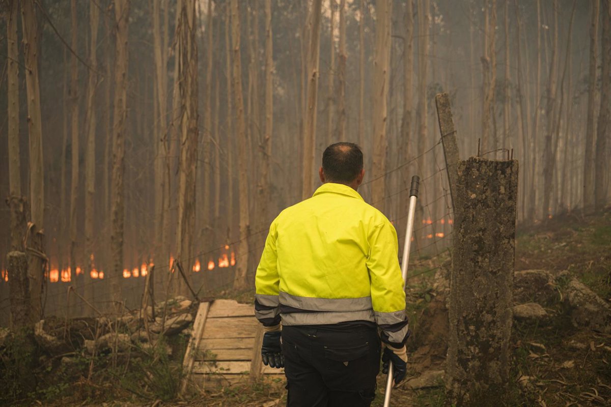 Ascienden a 280 las hectáreas afectadas por los incendios de Ponteareas y Carballo
