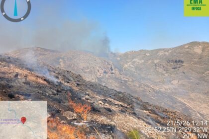 Equipos de Infoca trabajando en terreno para controlar incendios forestales
