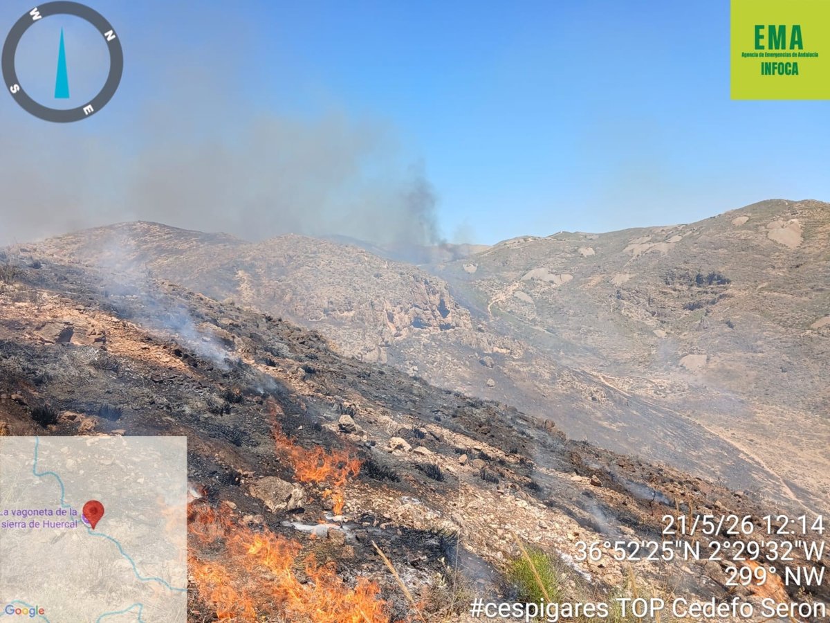 Equipos de Infoca trabajando en terreno para controlar incendios forestales