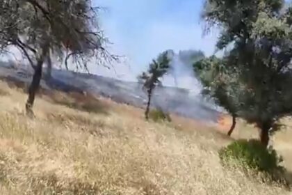 Estabilizado un incendio forestal en Andújar (Jaén) que movilizó a un helicóptero