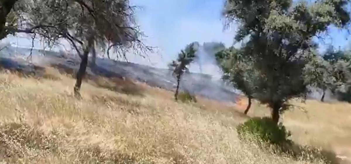Estabilizado un incendio forestal en Andújar (Jaén) que movilizó a un helicóptero