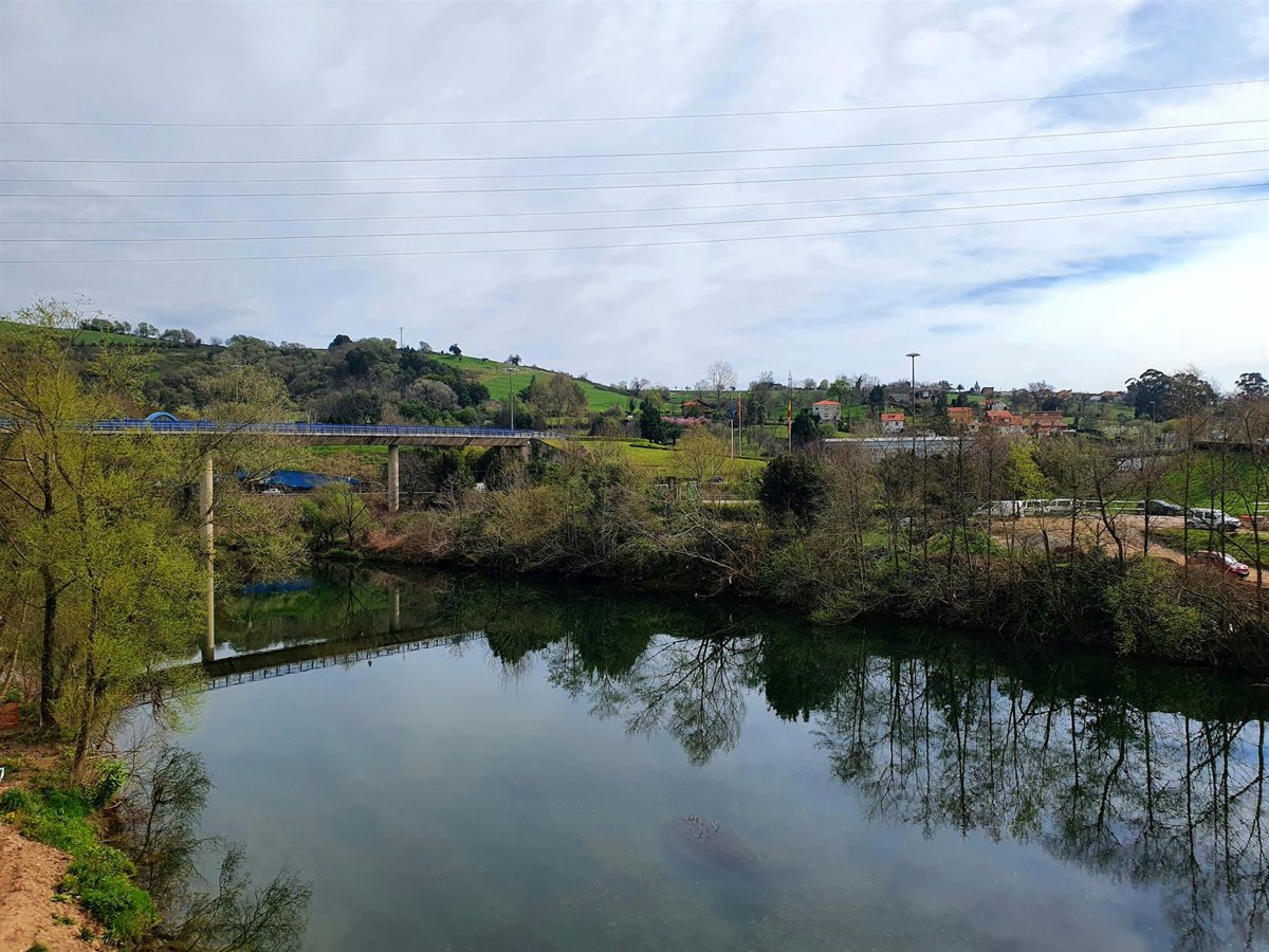 Un río con corriente fuerte cerca de donde se produjo el suceso en el río Saja
