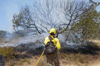 Imagen de un incendio forestal en una zona de Doñana, con fuego y humo en el horizonte