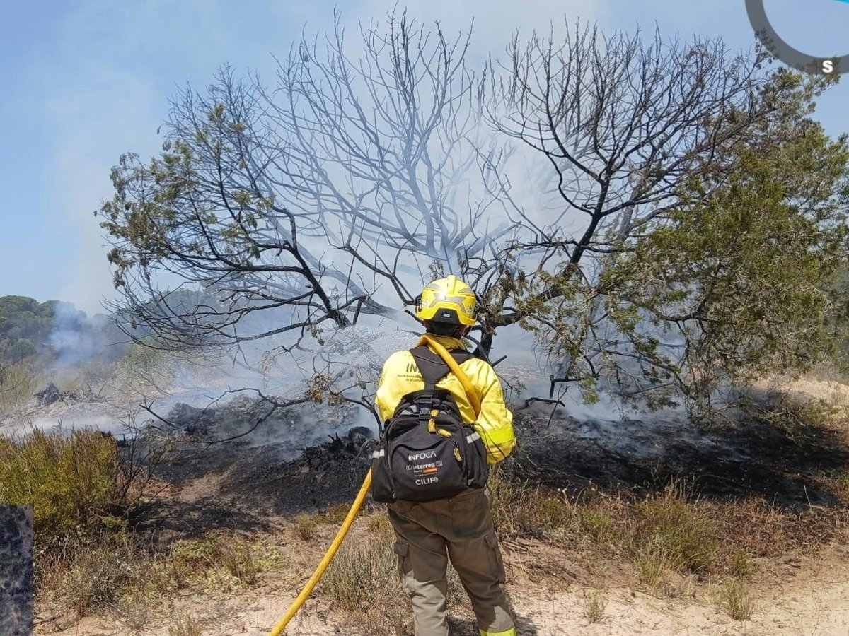 Imagen de un incendio forestal en una zona de Doñana, con fuego y humo en el horizonte