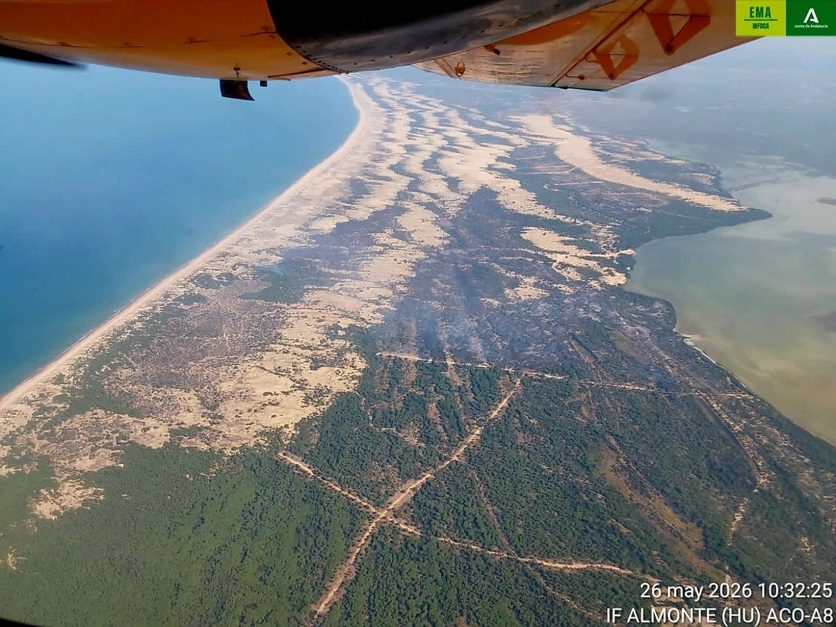 Imagen de un incendio forestal en Doñana con bomberos trabajando en la extinción