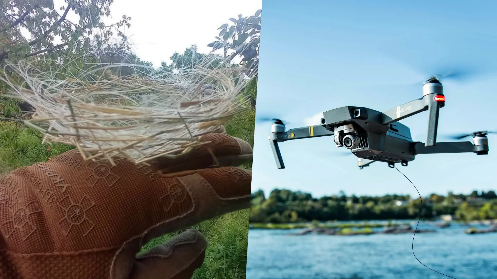 Un pájaro construye un nido con cables de fibra óptica de un dron militar en Ucrania