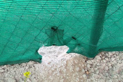 El Ayuntamiento de Cádiz denuncia un acto vandálico en el refugio de gatos de la calle Chiclana de la Frontera